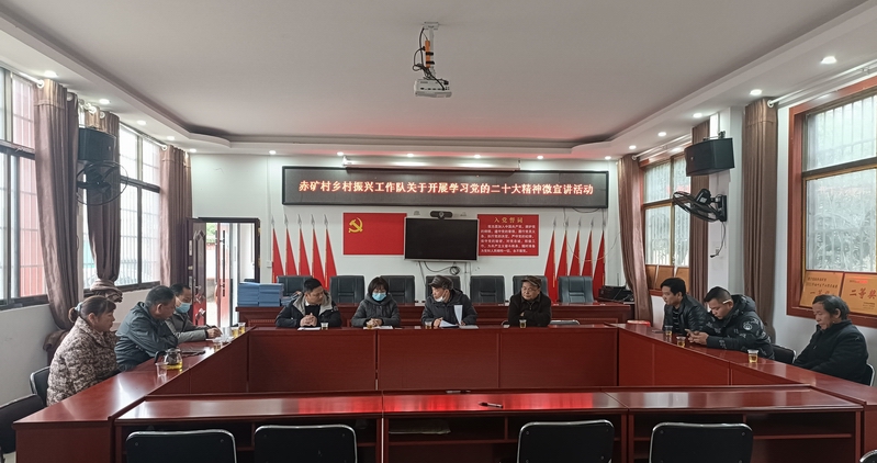 邵陽市檔案館入村宣講黨的二十大精神